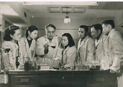 1950年，，著名微生物药物学家，，后任上海医药工业研究院抗生素室主任、副院长、信用院长的童村，，与科研职员开展课题研究
