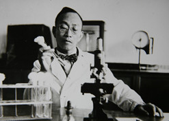 1955年，，汤飞凡主持的沙眼研究小组疏散出天下上第一株“沙眼衣原体”，，命名为TE8，，后在国际医学界引起重大回声