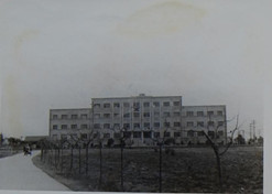 1958年，，成都生物制品研究所建设。。。。通过几年的机构调解、刷新和建设，，我国建成了六大生物制品研究所